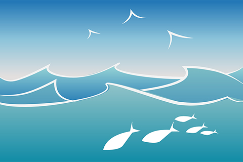 ナブラに湧く海鳥のイメージ