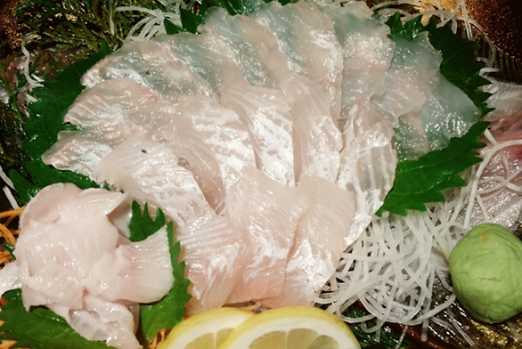 ヒラメ刺身｜刺身で食べて美味しい釣り魚