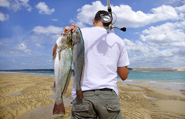 ヒラメ釣りで釣れる魚