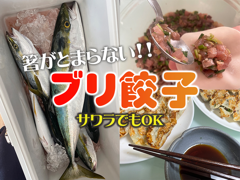 ブリ餃子レシピ｜釣り魚料理