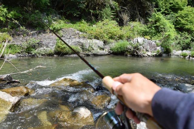 渓流テンカラ釣りキャスト方法