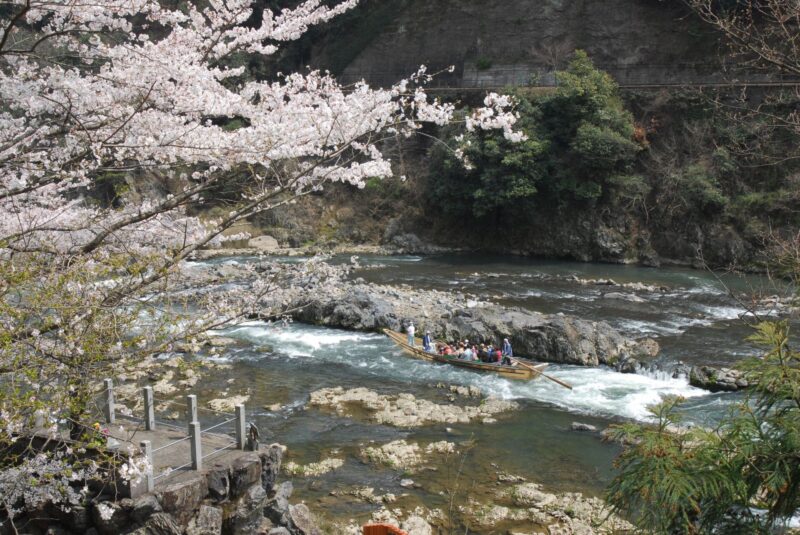 春の山桜と渓流