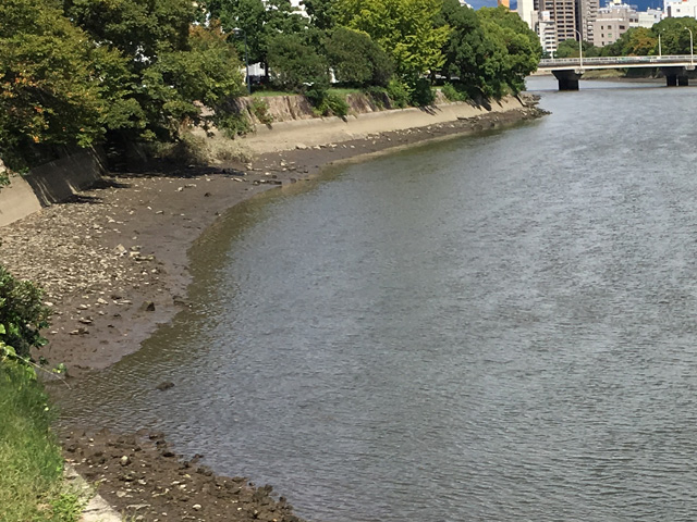 シャロー｜シーバスポイント河川