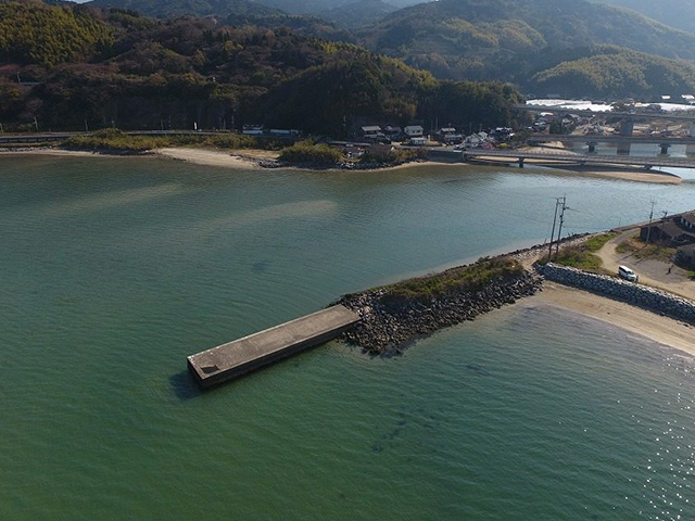 河口｜シーバスポイント河口