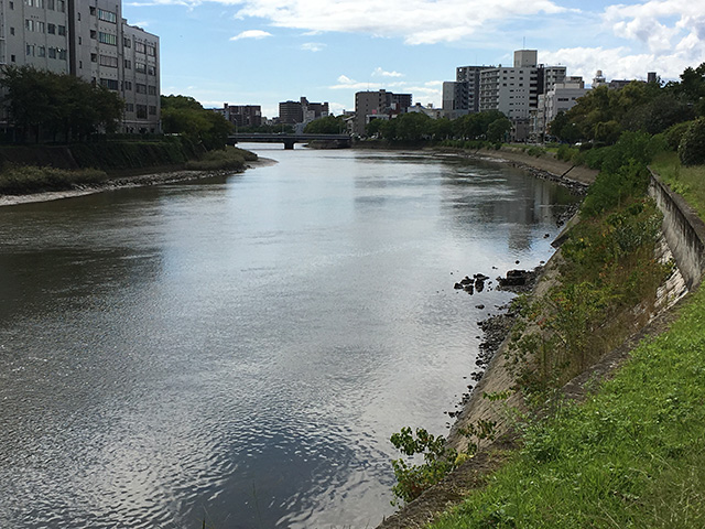 カーブの外側｜シーバスポイント河川